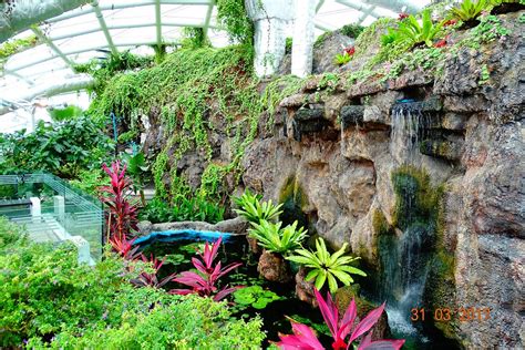 konya tropical butterfly garden